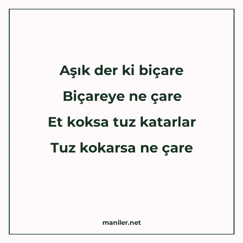 Aşık der ki biçare Biçareye ne çare Et koksa tuz katarlar Tu manisi görseli