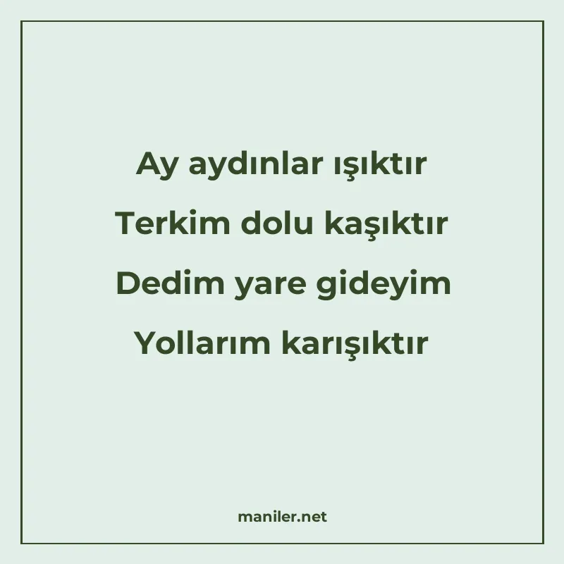 Ay aydınlar ışıktır Terkim dolu kaşıktır Dedim yare gideyim manisi görseli