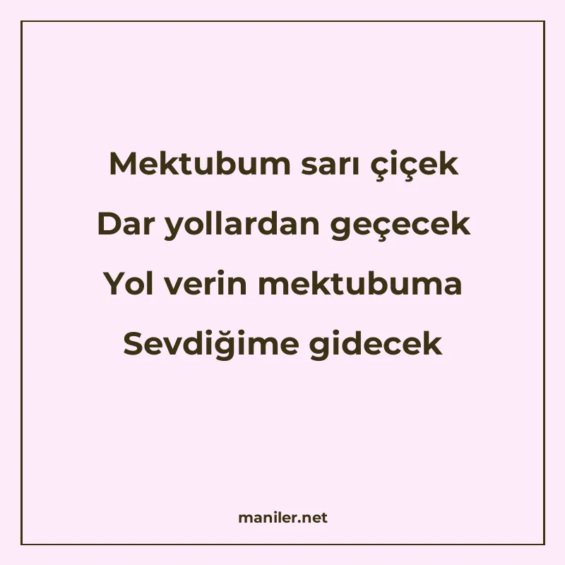 Mektubum sarı çiçek Dar yollardan geçecek Yol verin mektubum manisi görseli