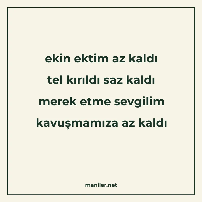 ekin ektim az kaldı tel kırıldı saz kaldı merek etme sevgili manisi görseli