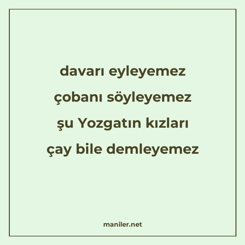 davarı eyleyemez çobanı söyleyemez şu Yozgatın kızları çay b manisi görseli