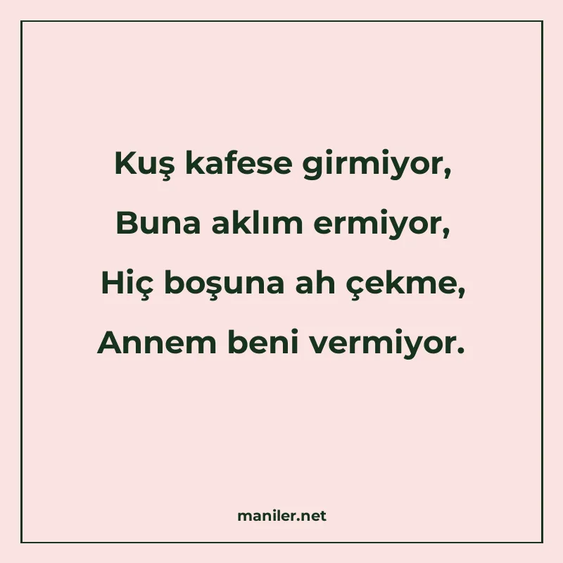 Kuş kafese girmiyor, Buna aklım ermiyor, Hiç boşuna ah çekme manisi görseli