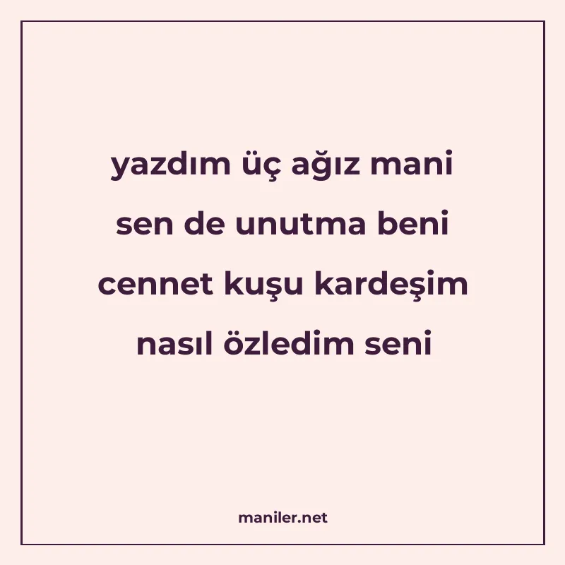 yazdım üç ağız mani sen de unutma beni cennet kuşu kardeşim manisi görseli