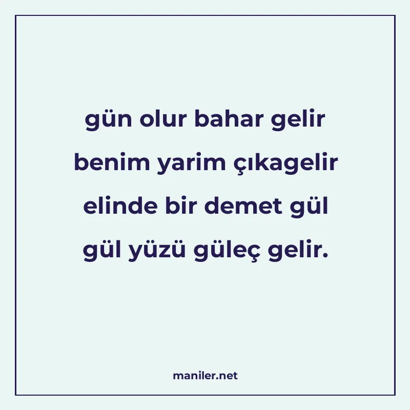 gün olur bahar gelir benim yarim çıkagelir elinde bir demet manisi görseli