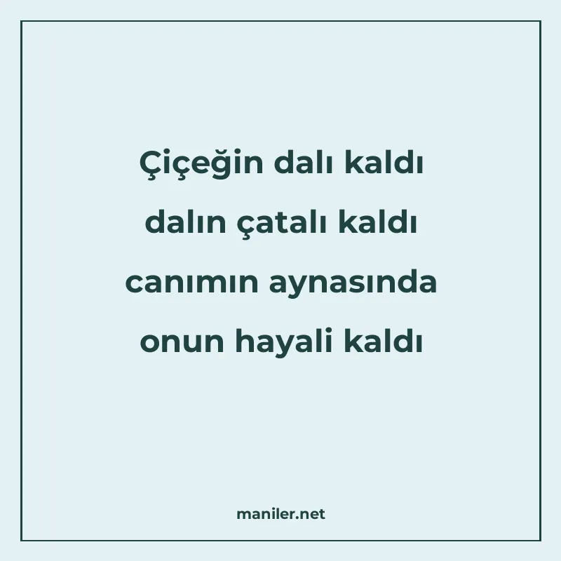 Çiçeğin dalı kaldı dalın çatalı kaldı canımın aynasında onun manisi görseli
