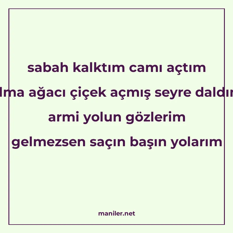 sabah kalktım camı açtım elma ağacı çiçek açmış seyre daldım manisi görseli