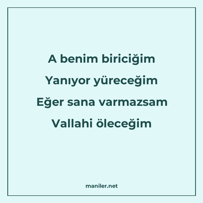 A benim biriciğim Yanıyor yüreceğim Eğer sana varmazsam Vall manisi görseli