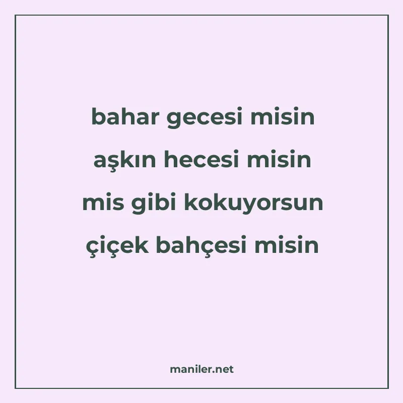 bahar gecesi misin aşkın hecesi misin mis gibi kokuyorsun çi manisi görseli