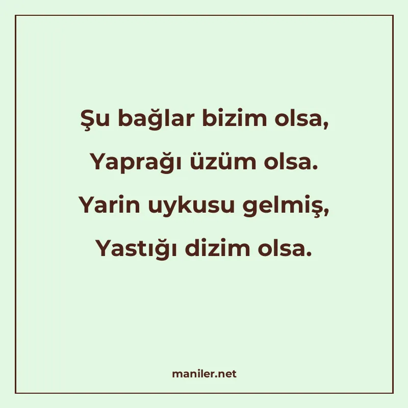 Şu bağlar bizim olsa, Yaprağı üzüm olsa. Yarin uykusu gelmiş manisi görseli