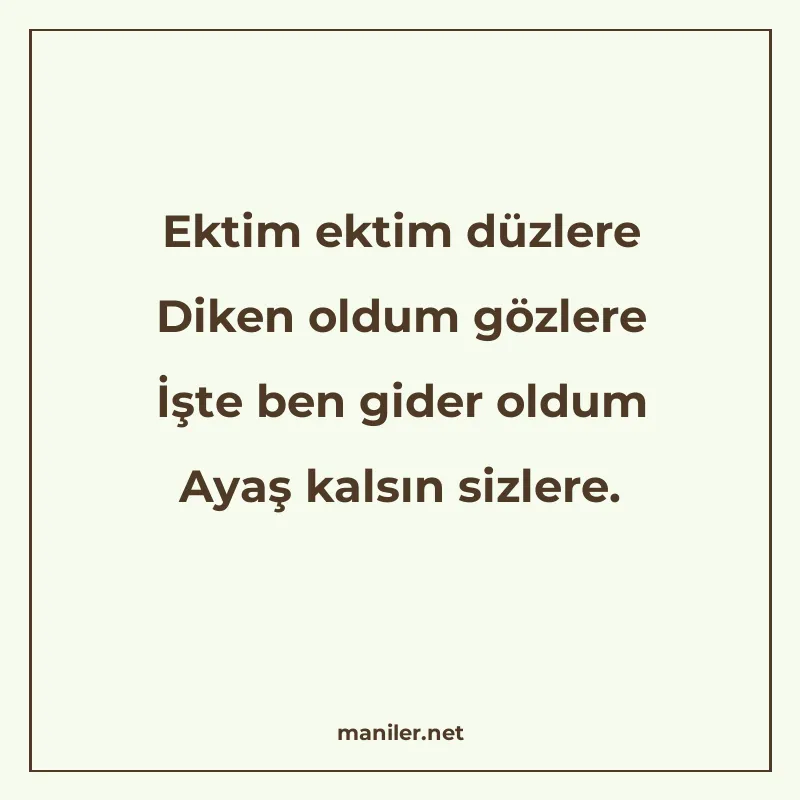 Ektim ektim düzlere Diken oldum gözlere İşte ben gider oldum manisi görseli