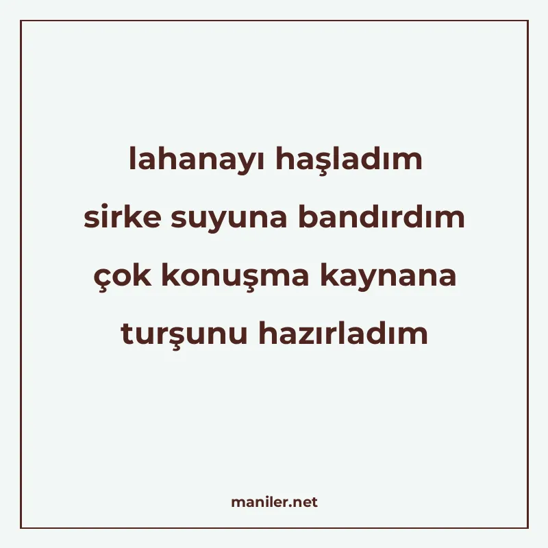 lahanayı haşladım sirke suyuna bandırdım çok konuşma kaynana manisi görseli