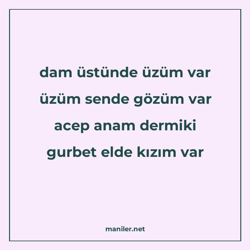 dam üstünde üzüm var üzüm sende gözüm var acep anam dermiki manisi görseli