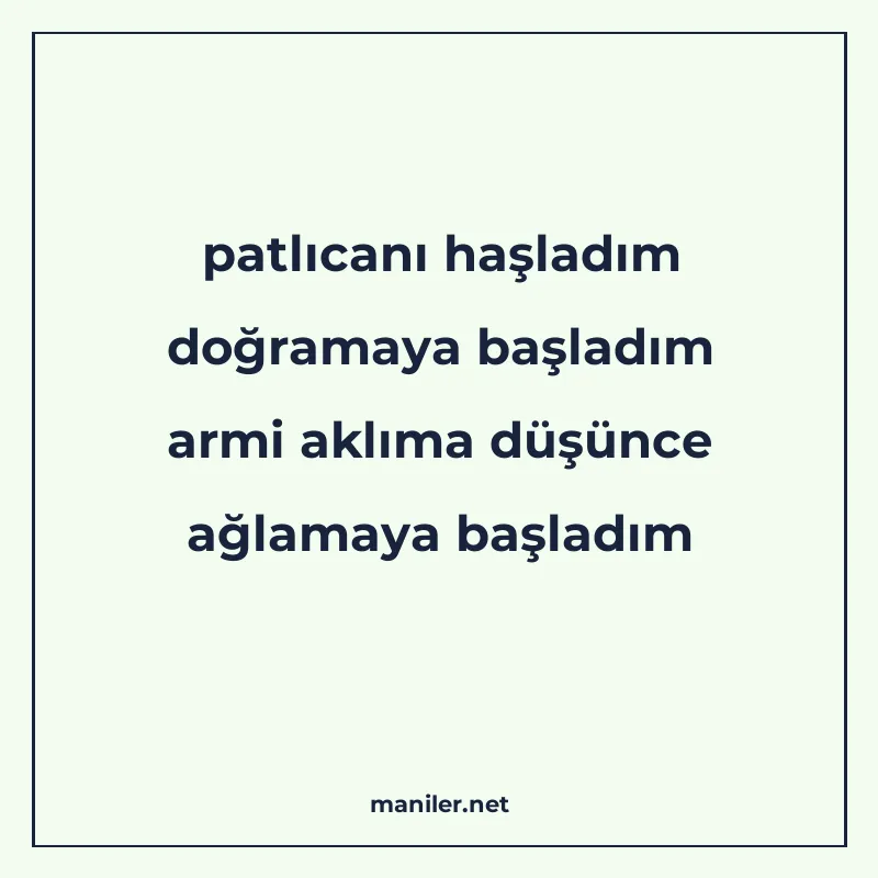 patlıcanı haşladım doğramaya başladım armi aklıma düşünce ağ manisi görseli