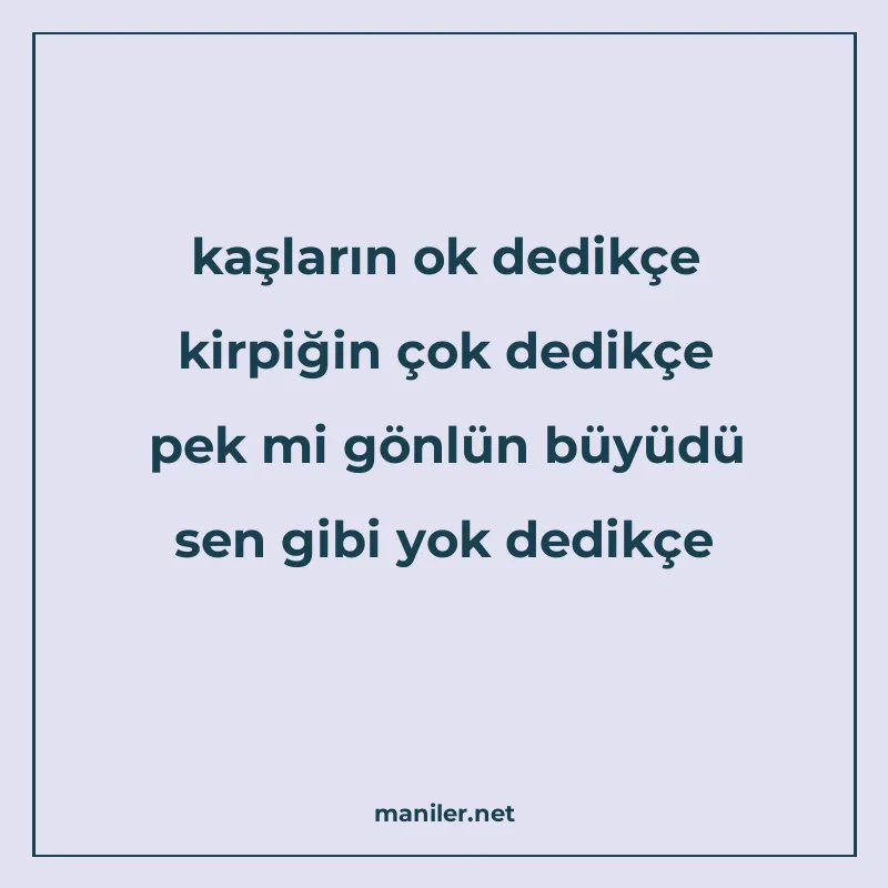 kaşların ok dedikçe kirpiğin çok dedikçe pek mi gönlün büyüd manisi görseli