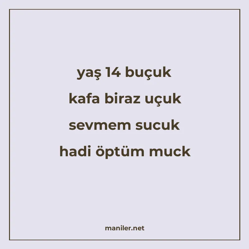 yaş 14 buçuk kafa biraz uçuk sevmem sucuk hadi öptüm muck manisi görseli