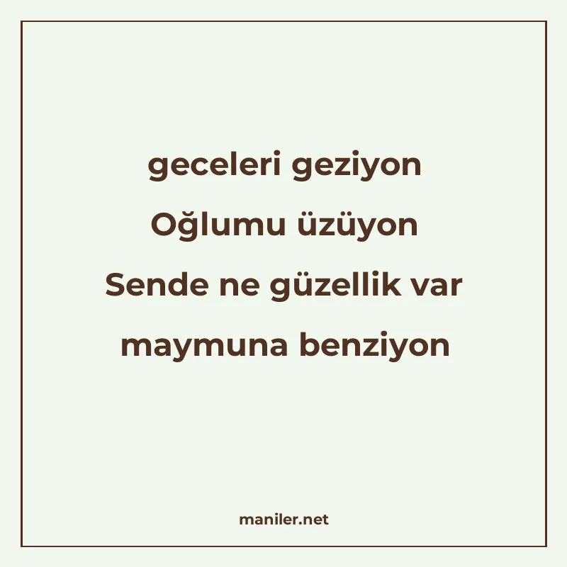 geceleri geziyon Oğlumu üzüyon Sende ne güzellik var maymuna manisi görseli