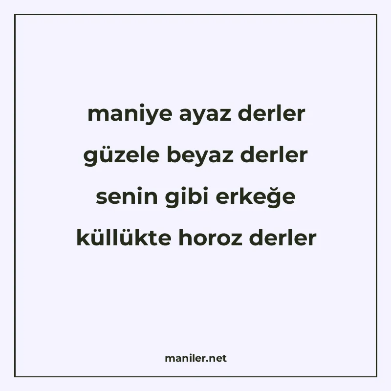 maniye ayaz derler güzele beyaz derler senin gibi erkeğe kül manisi görseli