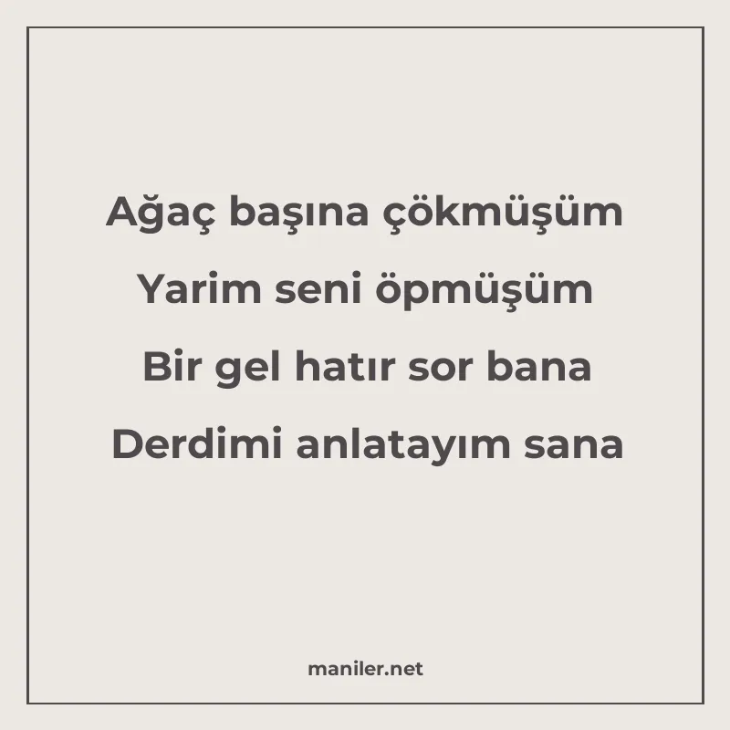 Ağaç başına çökmüşüm Yarim seni öpmüşüm Bir gel hatır sor ba manisi görseli