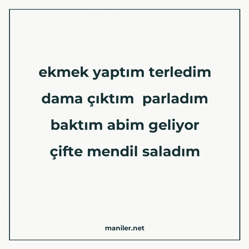 ekmek yaptım terledim dama çıktım parladım baktım abim geliy manisi görseli
