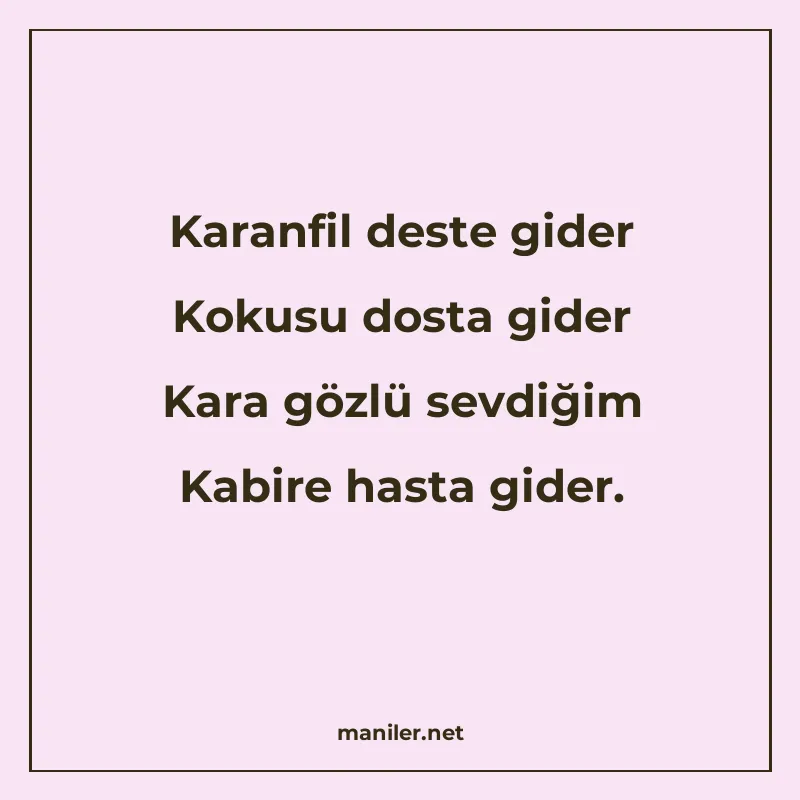 Karanfil deste gider Kokusu dosta gider Kara gözlü sevdiğim manisi görseli