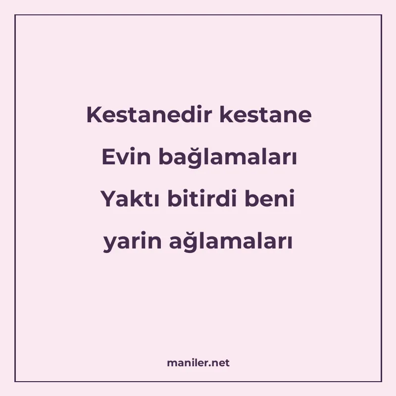 Kestanedir kestane Evin bağlamaları Yaktı bitirdi beni yarin manisi görseli