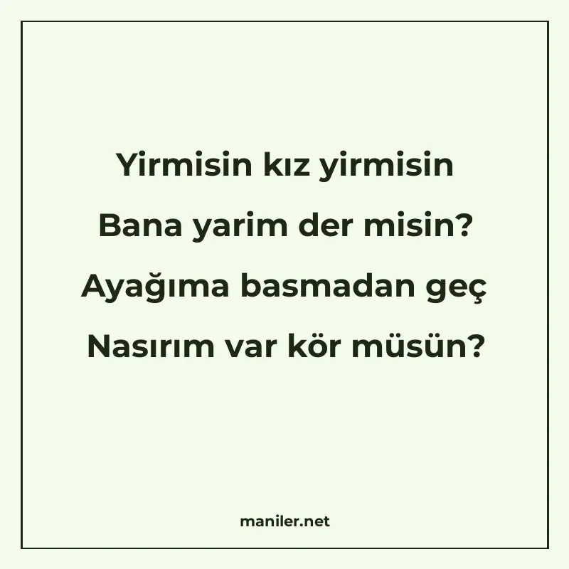 Yirmisin kız yirmisin Bana yarim der misin? Ayağıma basmadan manisi görseli