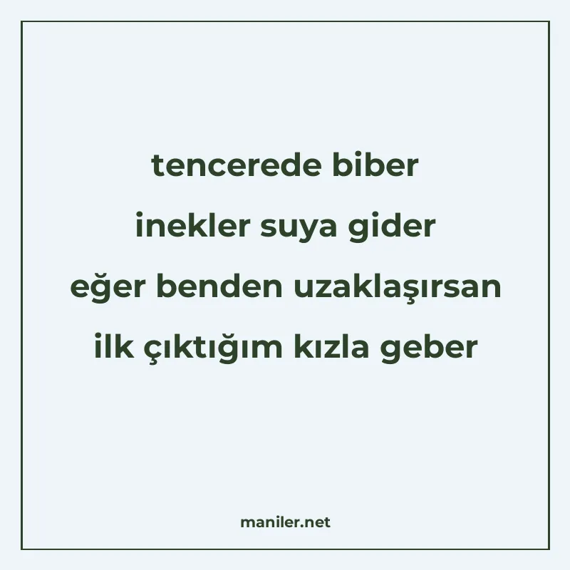 tencerede biber inekler suya gider eğer benden uzaklaşırsan manisi görseli