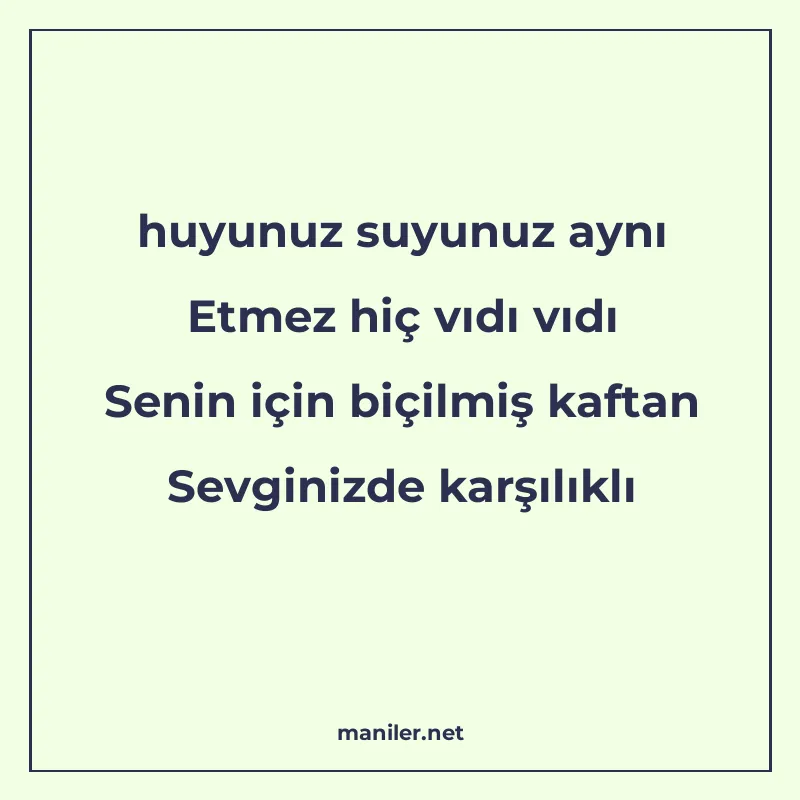 huyunuz suyunuz aynı Etmez hiç vıdı vıdı Senin için biçilmiş manisi görseli