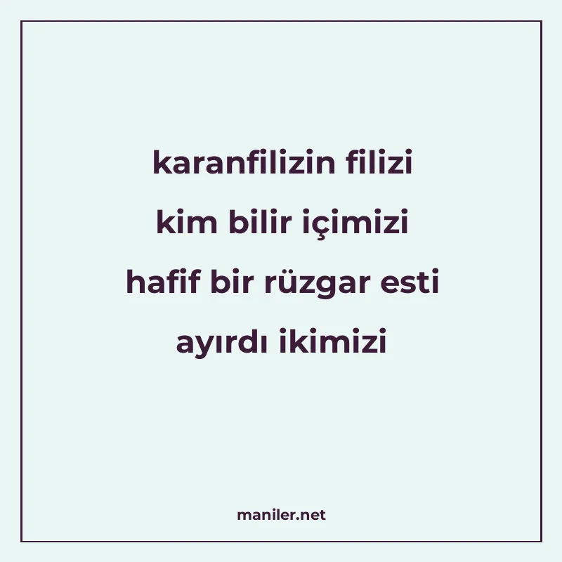 karanfilizin filizi kim bilir içimizi hafif bir rüzgar esti manisi görseli