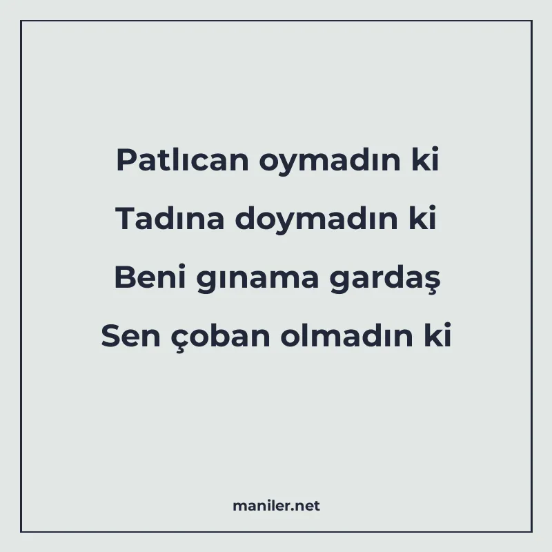 Patlıcan oymadın ki Tadına doymadın ki Beni gınama gardaş Se manisi görseli