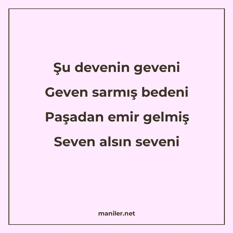 Şu devenin geveni Geven sarmış bedeni Paşadan emir gelmiş Se manisi görseli