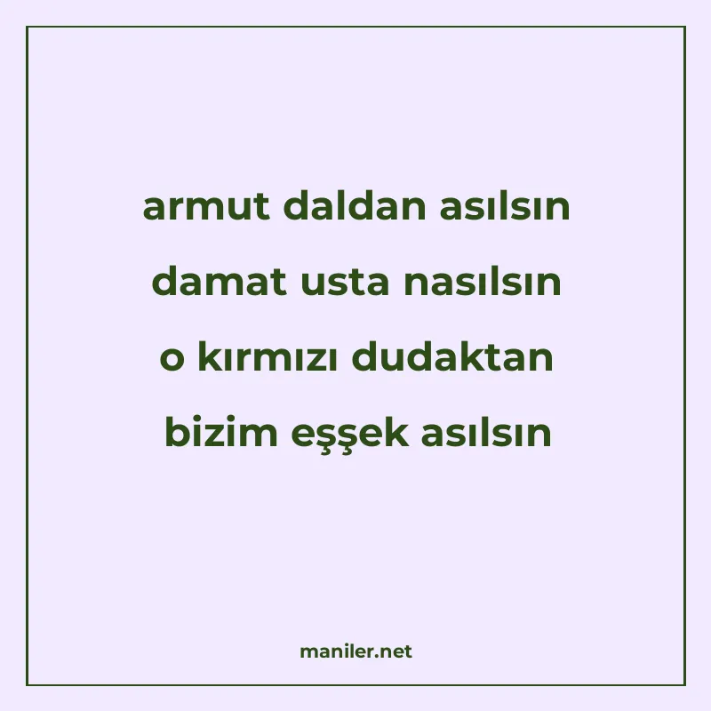 armut daldan asılsın damat usta nasılsın o kırmızı dudaktan manisi görseli