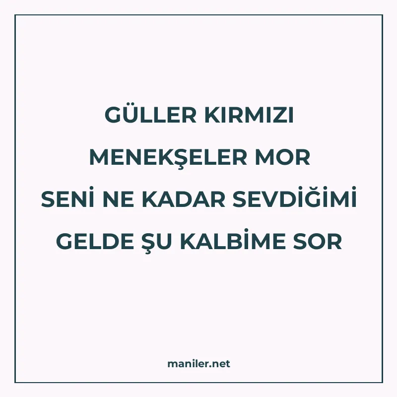 GÜLLER KIRMIZI MENEKŞELER MOR SENİ NE KADAR SEVDİĞİMİ GELDE manisi görseli