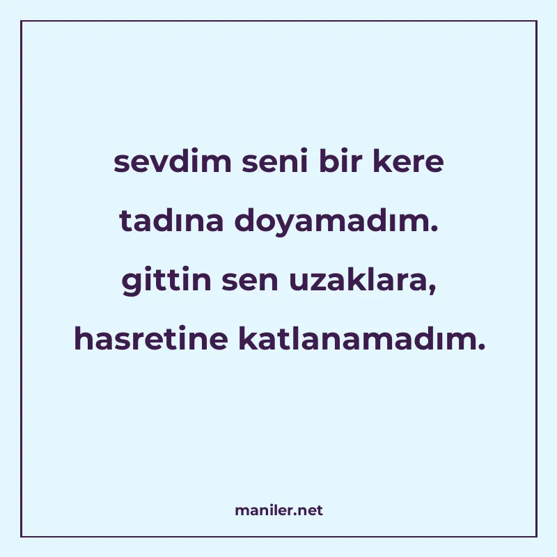 sevdim seni bir kere tadına doyamadım. gittin sen uzaklara manisi görseli