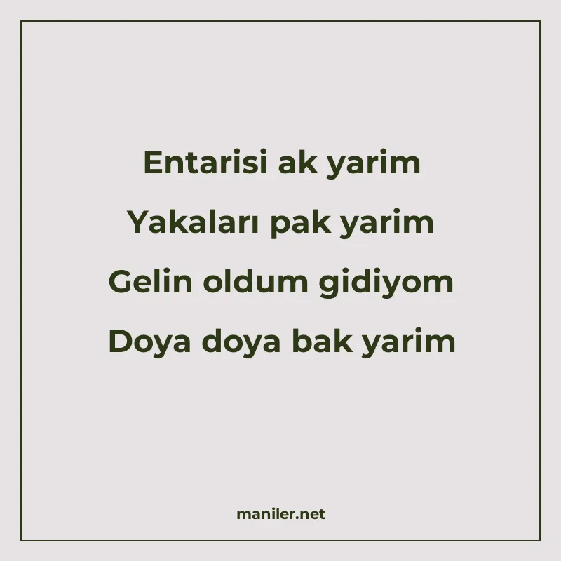 Entarisi ak yarim Yakaları pak yarim Gelin oldum gidiyom Doy manisi görseli