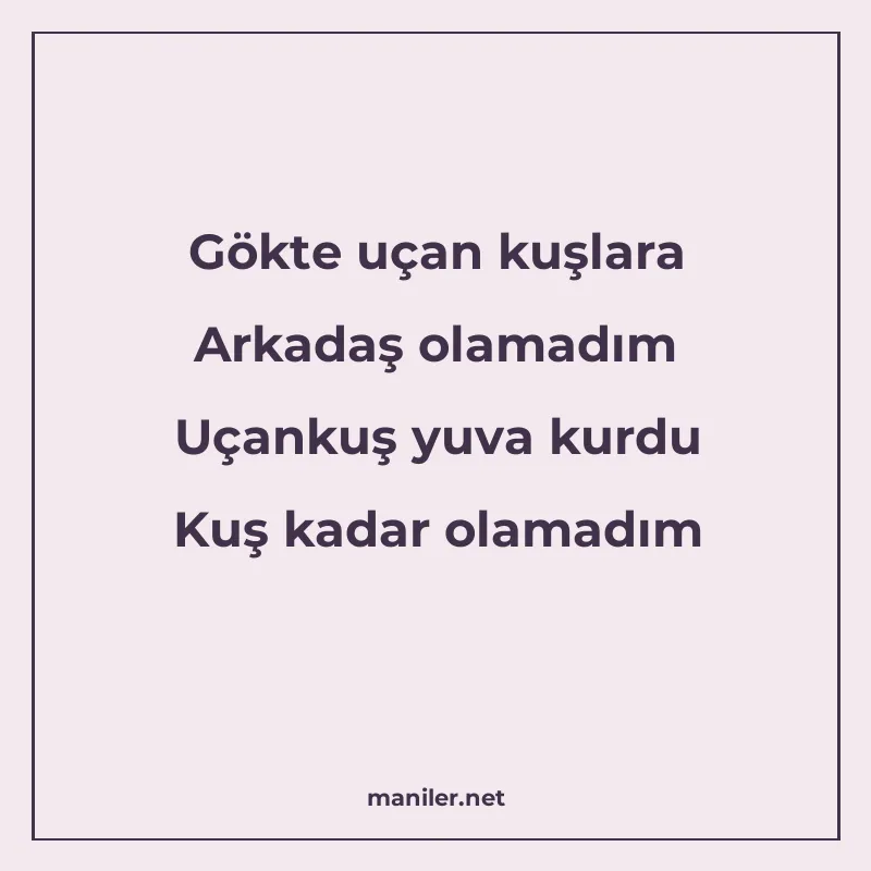 Gökte uçan kuşlara Arkadaş olamadım Uçankuş yuva kurdu Kuş k manisi görseli