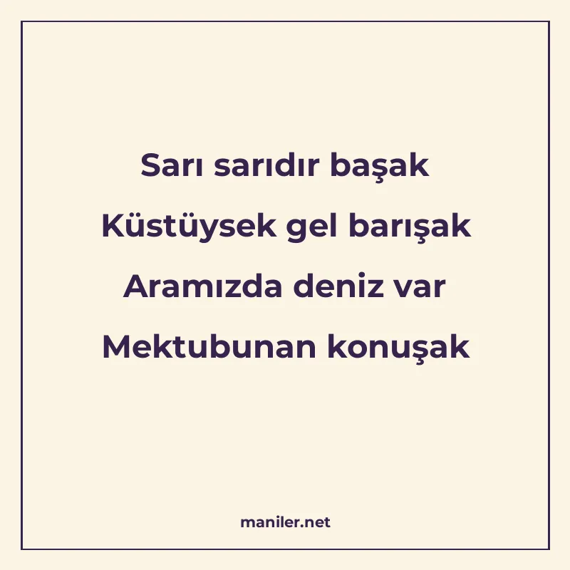 Sarı sarıdır başak Küstüysek gel barışak Aramızda deniz var manisi görseli
