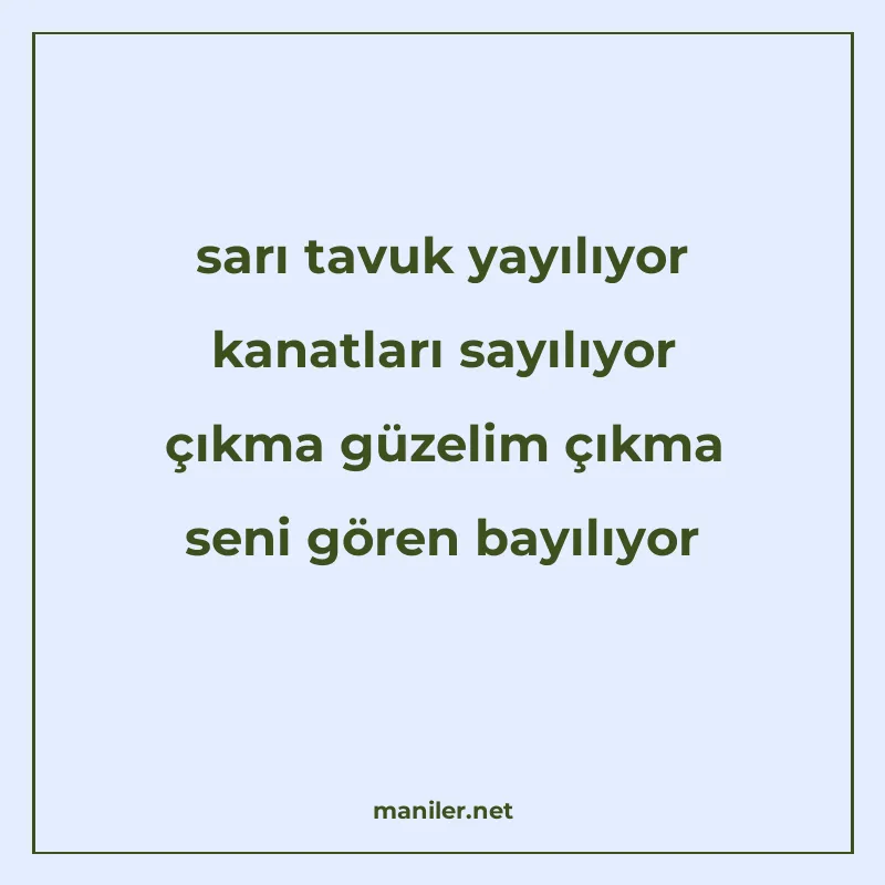 sarı tavuk yayılıyor kanatları sayılıyor çıkma güzelim çıkma manisi görseli