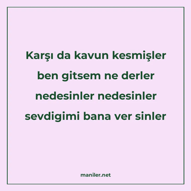 Karşı da kavun kesmişler ben gitsem ne derler nedesinler ned manisi görseli