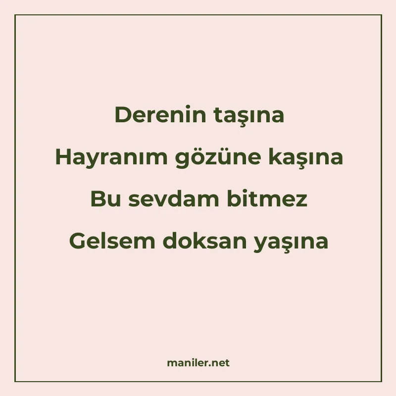 Derenin taşına Hayranım gözüne kaşına Bu sevdam bitmez Gelse manisi görseli