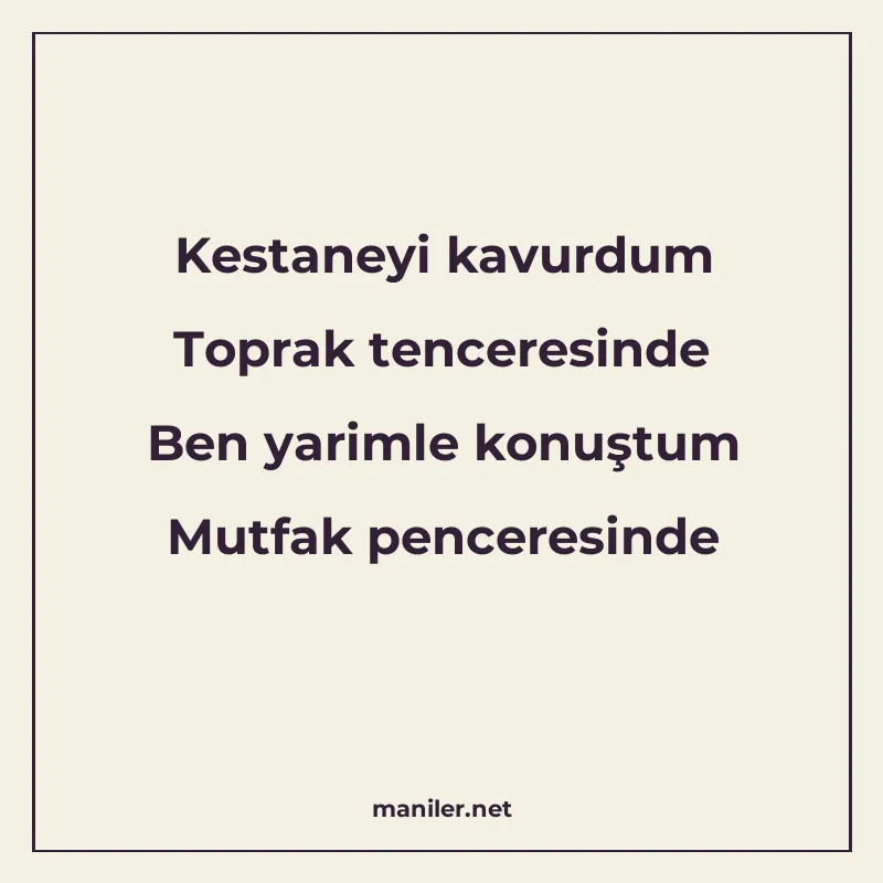 Kestaneyi kavurdum Toprak tenceresinde Ben yarimle konuştum manisi görseli