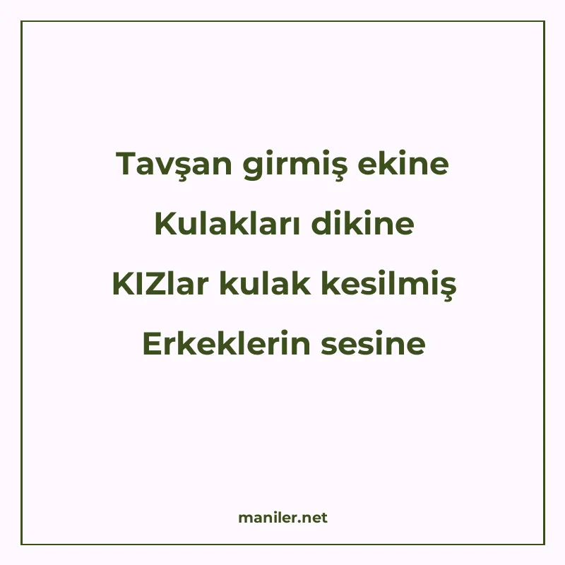 Tavşan girmiş ekine Kulakları dikine KIZlar kulak kesilmiş E manisi görseli