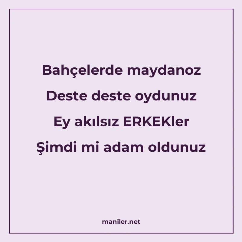 Bahçelerde maydanoz Deste deste oydunuz Ey akılsız ERKEKler manisi görseli