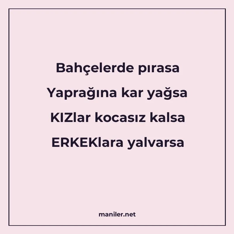 Bahçelerde pırasa Yaprağına kar yağsa KIZlar kocasız kalsa E manisi görseli