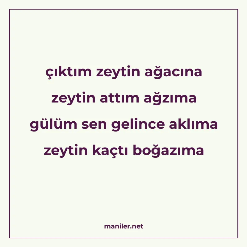 çıktım zeytin ağacına zeytin attım ağzıma gülüm sen gelince manisi görseli