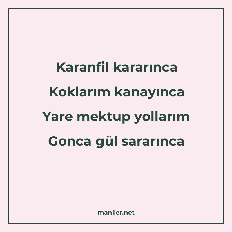 Karanfil kararınca Koklarım kanayınca Yare mektup yollarım G manisi görseli