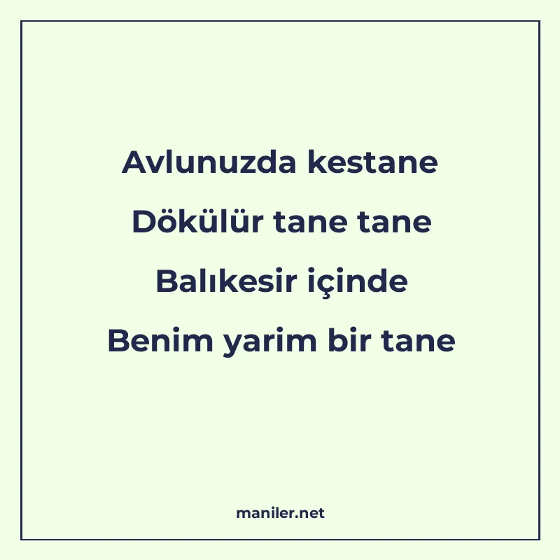 Avlunuzda kestane Dökülür tane tane Balıkesir içinde Benim y manisi görseli