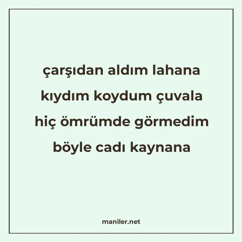 çarşıdan aldım lahana kıydım koydum çuvala hiç ömrümde görme manisi görseli