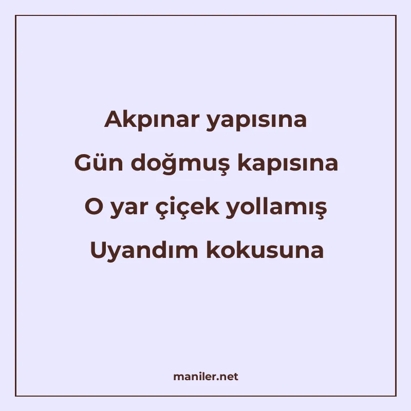 Akpınar yapısına Gün doğmuş kapısına O yar çiçek yollamış Uy