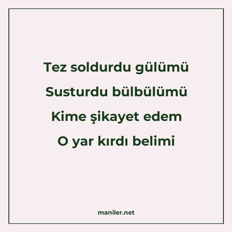 Tez soldurdu gülümü Susturdu bülbülümü Kime şikayet edem O y manisi görseli